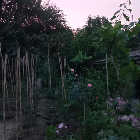 Relax Luksusowy namiot